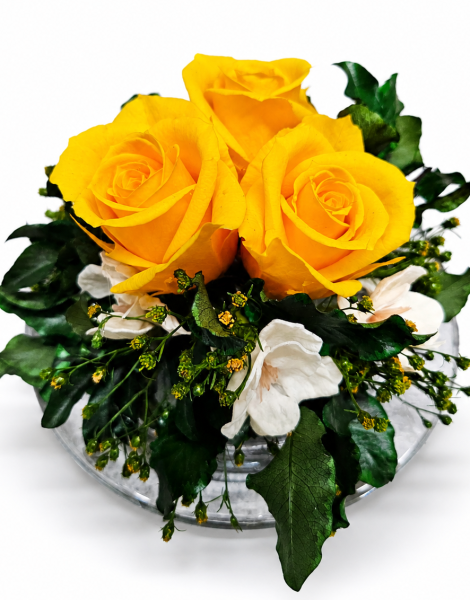file_00000000193471f49209b81af56d1007.png