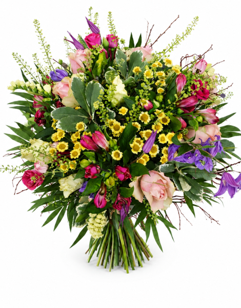 file_00000000b534820a8957b8203d335e2c.png