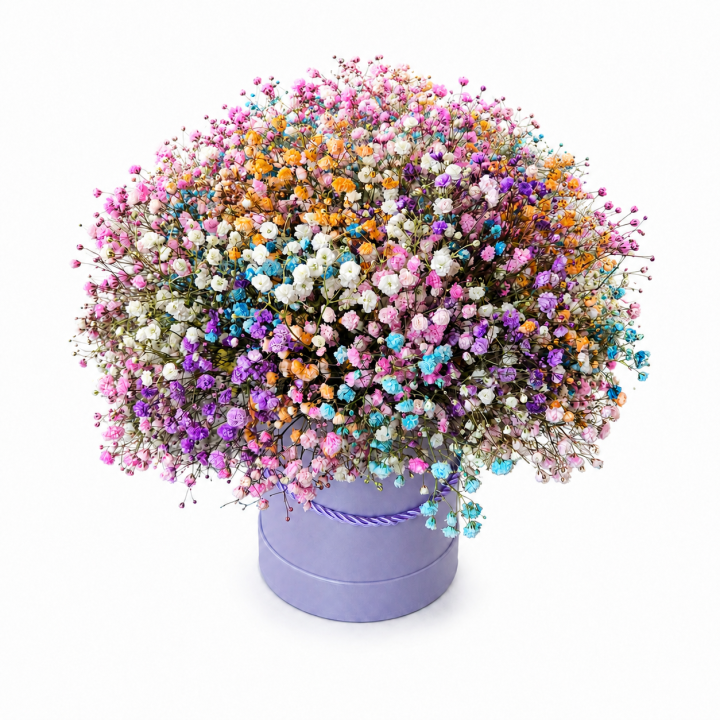 file_000000009a0481f6a3a1092b0ca29778.png
