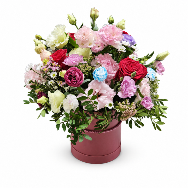 file_00000000d43c82108f4bb9816a0e88ea.png